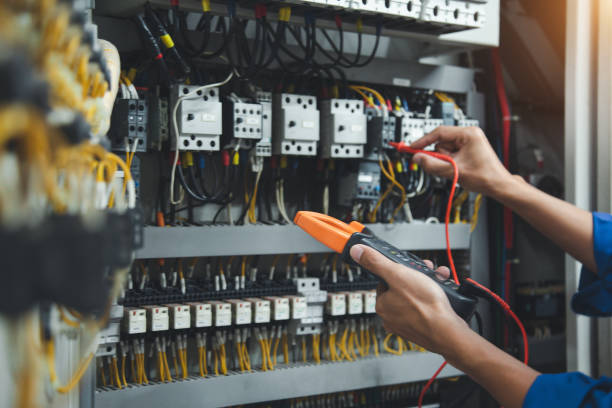 Best Electric Panel Repair  in Prceton, IN